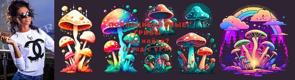метадон Аркадак