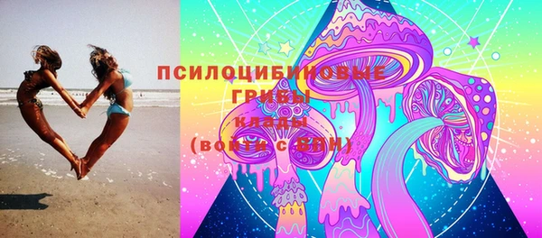 дживик Армянск